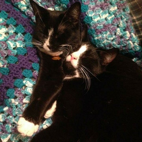 CLEARANCE SALE!!!! Get great prices! - Picture 2 of 3